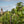 Carregar imagem no visualizador da galeria, Domaine Laurent Mouton - Coteaux Bourguignons Les Fourneaux - Rouge - 2024
