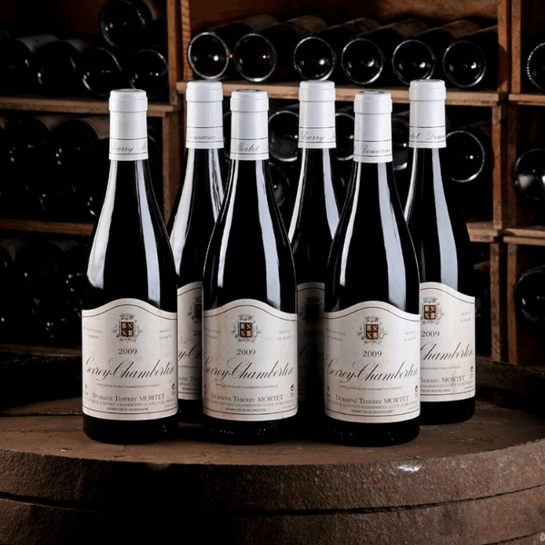 Domaine Thierry Mortet - Gevrey Chambertin - Rouge - 2022 - 0,75
