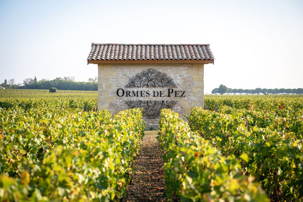Chateau Ormes De Pez - Chateau Ormes De Pez Aop Saint Estephe - Rouge - 2020 - 0,75