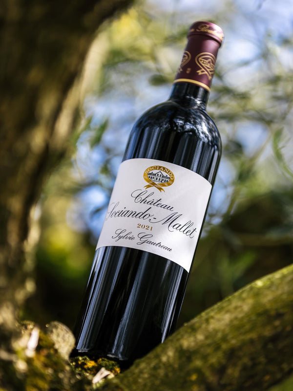 Chateau Sociando Mallet - Chateau Sociando Mallet Aop Haut Medoc - Rouge - 2017 - 0,75
