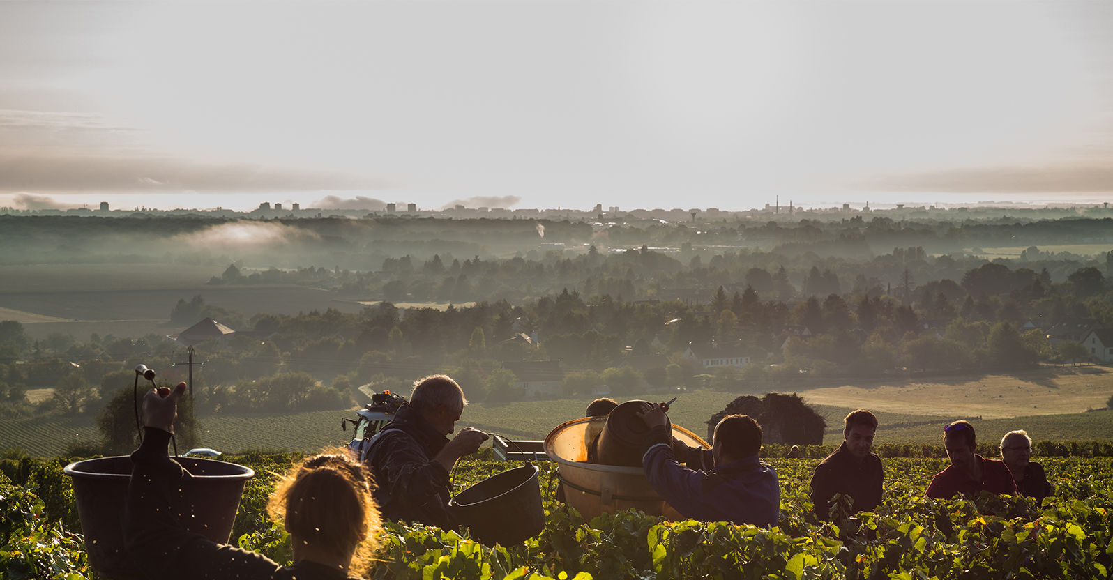 Domaine Laurent Mouton - Givry 1er Cru Clos Jus - Rouge - 2023 - 0,75