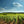 Carregar imagem no visualizador da galeria, Domaine David Duband - Nuits Saint Georges - Rouge - 2023 - 0,75

