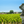 Carregar imagem no visualizador da galeria, Chateau Potensac - Chateau Potensac Aop Medoc - Rouge - 2021 - 0,75
