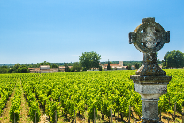 Chateau Potensac - Chateau Potensac Aop Medoc - Rouge - 2021 - 0,75