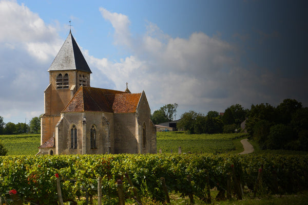 Domaine Jean Marc Brocard - Prieure Saint Come Chablis - Blanc - 2024 - 0,75
