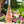 Carregar imagem no visualizador da galeria, Chateau de L'Aumerade - Marie Christine Cru Classe - Rosé - 2024 - 0,75
