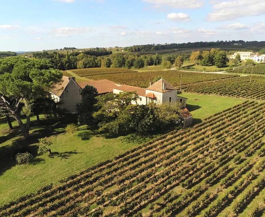 Chateau Piron - Chateau Piron Aop Montagne Saint Emilion - Rouge - 2020 - 0,75