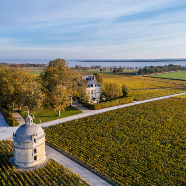 Chateau Latour - Les Forts De Latour Aop Pauillac - Rouge - 2019 - 0,75