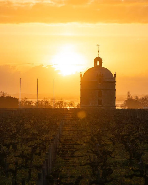Chateau Latour - Les Forts De Latour Aop Pauillac - Rouge - 2019 - 0,75