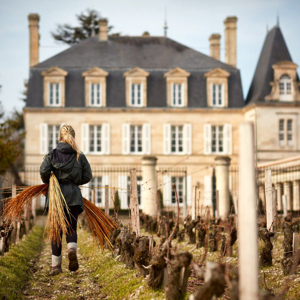 Chateau Grand Puy Lacoste - Chateau Grand Puy Lacoste Aop Pauillac - Rouge - 2018 - 0,75