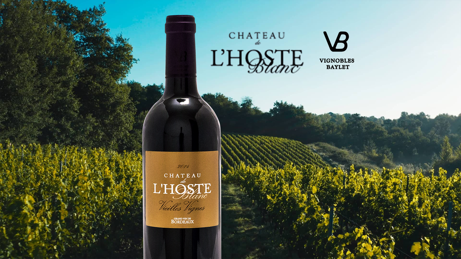 Vignobles Baylet - Chateau De L Hoste Vieilles Vignes - Rouge - 2019