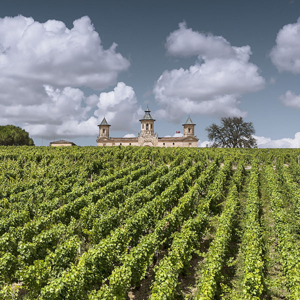 Chateau Cos D'Estournel - Pagodes De Cos Aop Saint Estephe - Rouge - 2020 - 0,75