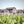 Carregar imagem no visualizador da galeria, Chateau Pontet Canet - Chateau Pontet Canet Aop Pauillac - Rouge - 2021 - 0,75
