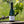 Carregar imagem no visualizador da galeria, Champagne Fernand Lemaire - Tradition 1er Cru - Effervescent Blanc - Nv - 0,75
