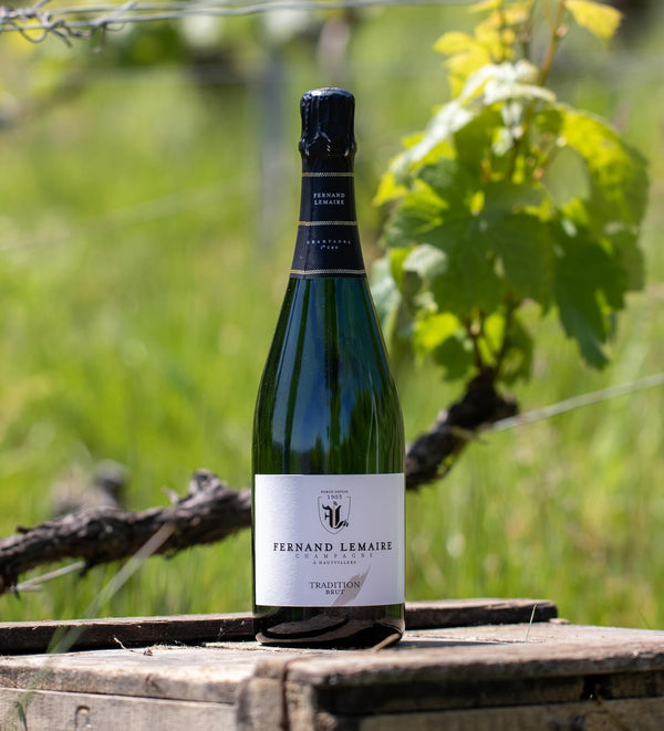 Champagne Fernand Lemaire - Tradition 1er Cru - Effervescent Blanc - Nv - 0,75