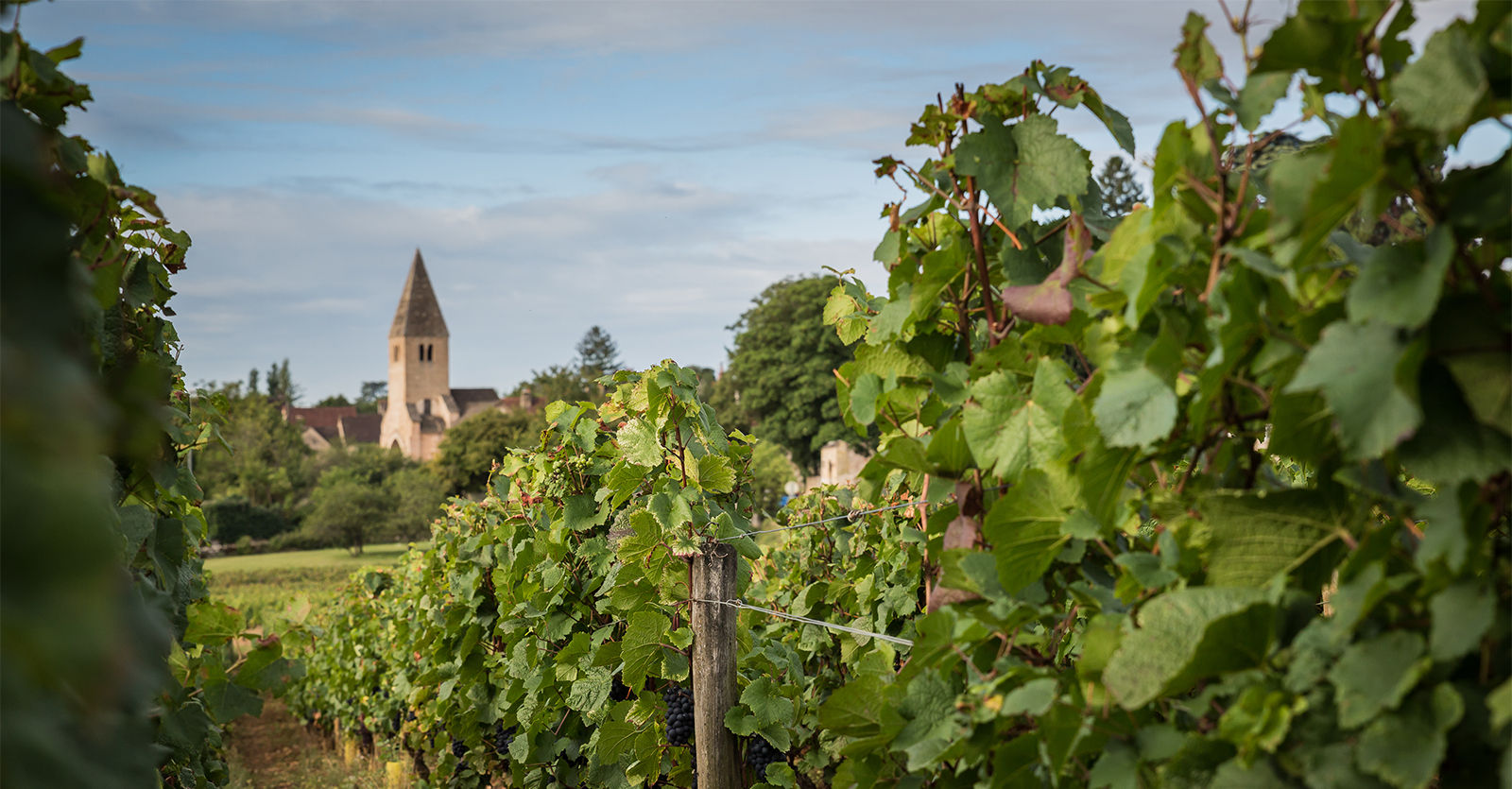 Domaine Laurent Mouton - Givry 1er Cru Clos Jus - Rouge - 2023 - 0,75
