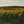 Carregar imagem no visualizador da galeria, Domaine Desvignes - Givry - Blanc - 2022 - 0,75

