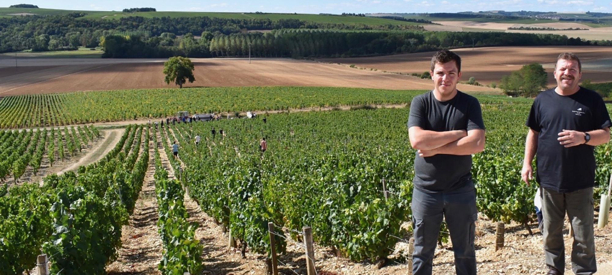 Domaine Gautherin - Chablis - Blanc - 2023 - 0,75