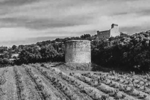 Domaine Du Grand Tinel - Collection Alexis Establet - Rouge - 2016