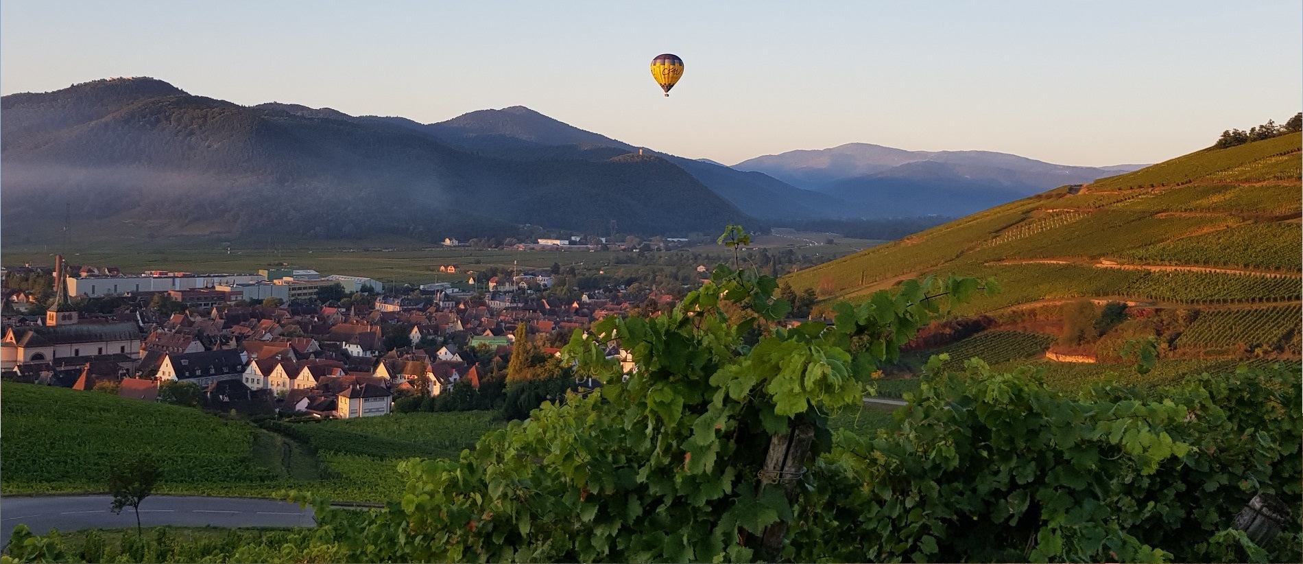 Domaine Hurst - Riesling Grand Cru Brand - Blanc - 2020