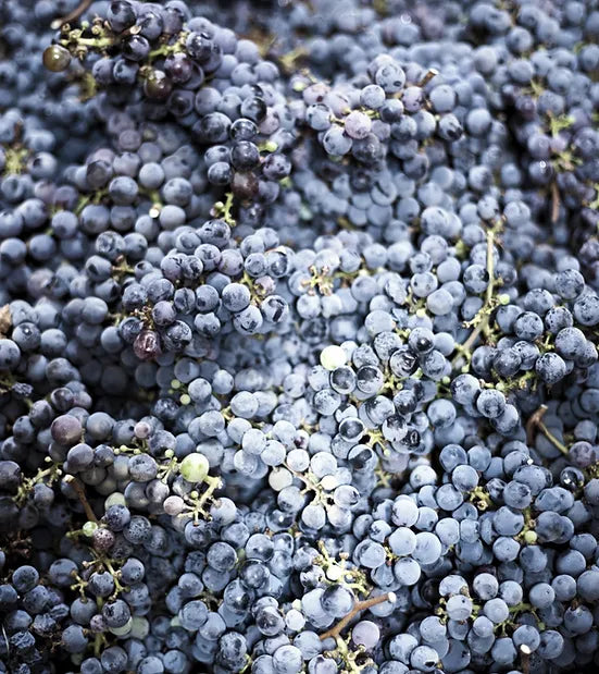 Chateau Piron - Chateau Piron Aop Montagne Saint Emilion - Rouge - 2020 - 0,75