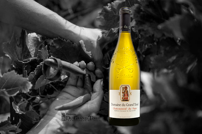 Domaine Du Grand Tinel - Chateauneuf Du Pape - Aop Chateauneuf Du Pape - 2019