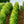 Carregar imagem no visualizador da galeria, Domaine Chevillon Chezeaux - Nuits Saint Georges Aux saints Juliens - Rouge - 2022 - 0,75
