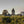 Carregar imagem no visualizador da galeria, Chateau La Lagune - Moulin De La Lagune Aop Haut Medoc - Rouge - 2015 - 0,75
