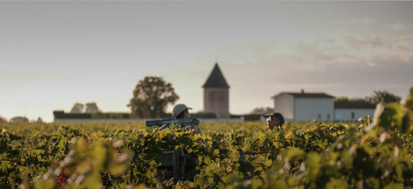 Chateau La Lagune - Moulin De La Lagune Aop Haut Medoc - Rouge - 2015 - 0,75