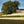 Carregar imagem no visualizador da galeria, Chateau Pavie - Chateau Pavie Aop Saint Emilion Grand Cru - Rouge - 2019 - 0,75
