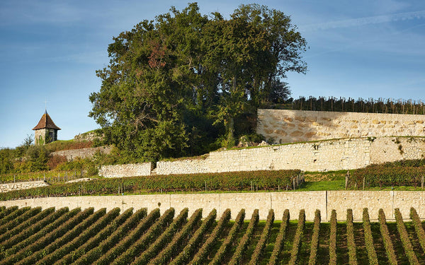 Chateau Pavie - Chateau Pavie Aop Saint Emilion Grand Cru - Rouge - 2019 - 0,75