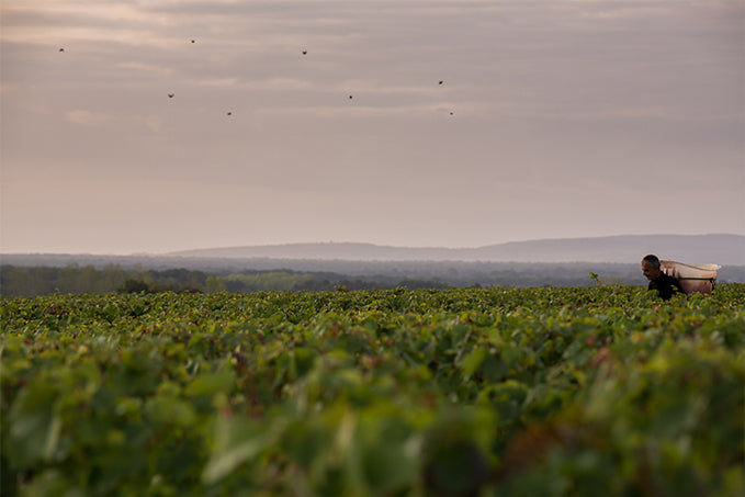 Domaine Laurent Mouton - Givry 1er Cru Clos Jus - Rouge - 2023