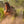 Carregar imagem no visualizador da galeria, Domaine De Chevalier - Domaine De Chevalier Aop Pessac Leognan - Rouge - 2021 - 0,75
