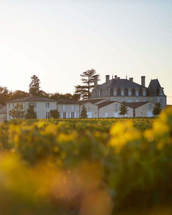 Chateau Grand Puy Lacoste - Chateau Grand Puy Lacoste Aop Pauillac - Rouge - 2018 - 0,75
