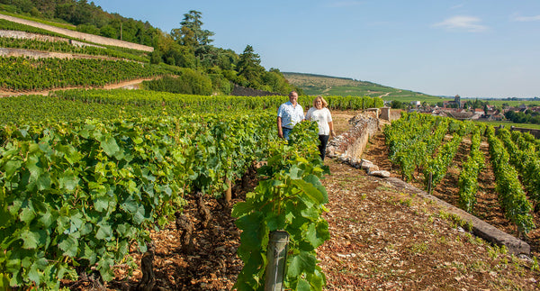 Domaine Chevillon Chezeaux - Nuits Saint Georges Aux saints Juliens - Rouge - 2022 - 0,75