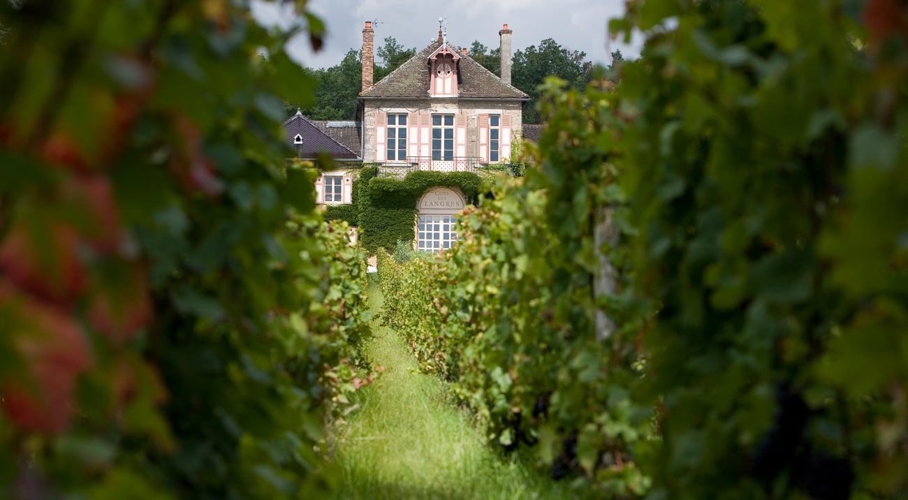 Domaine D'Ardhuy - Ladoix 1Er Cru 