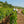 Carregar imagem no visualizador da galeria, Domaine Chevillon Chezeaux - Hautes cotes de nuits - Rouge - 2022 - 0,75
