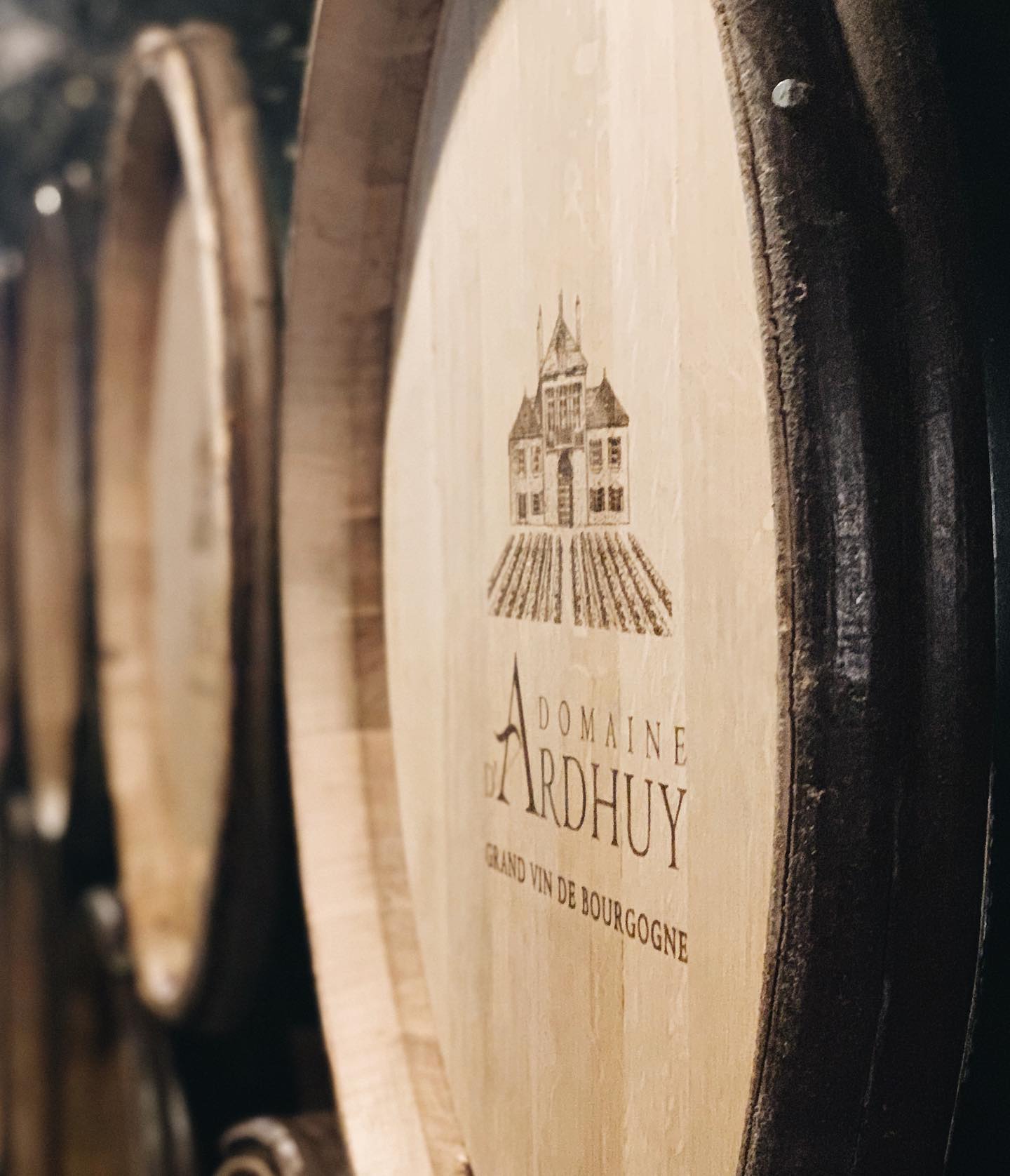 Domaine D'Ardhuy - Aloxe Corton 1Er Cru « Les Chaillots » - Aop Aloxe Corton 1Er Cru - 2021