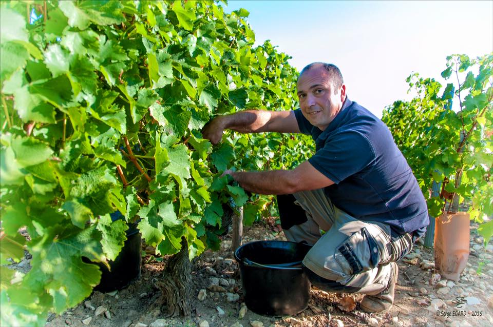 Nicolas Gaudry - Pouilly Fumé - Blanc - 2024 - 0,75