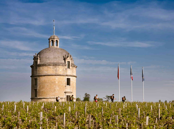 Chateau Latour - Les Forts De Latour Aop Pauillac - Rouge - 2019 - 0,75