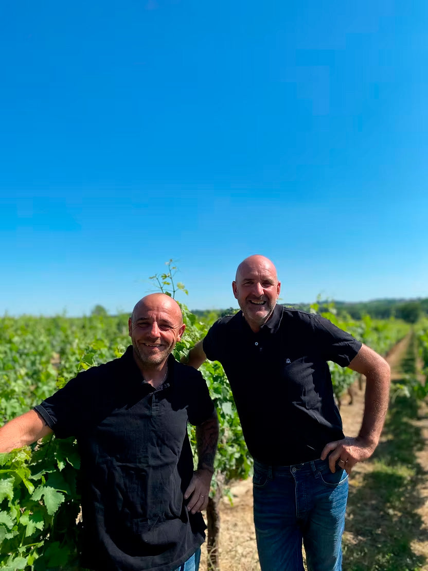 Chateau Piron - Chateau Piron Aop Montagne Saint Emilion - Rouge - 2020 - 0,75