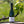 Carregar imagem no visualizador da galeria, Champagne Fernand Lemaire - Blanc de Blanc 1er Cru - Effervescent Blanc - Nv - 0,75
