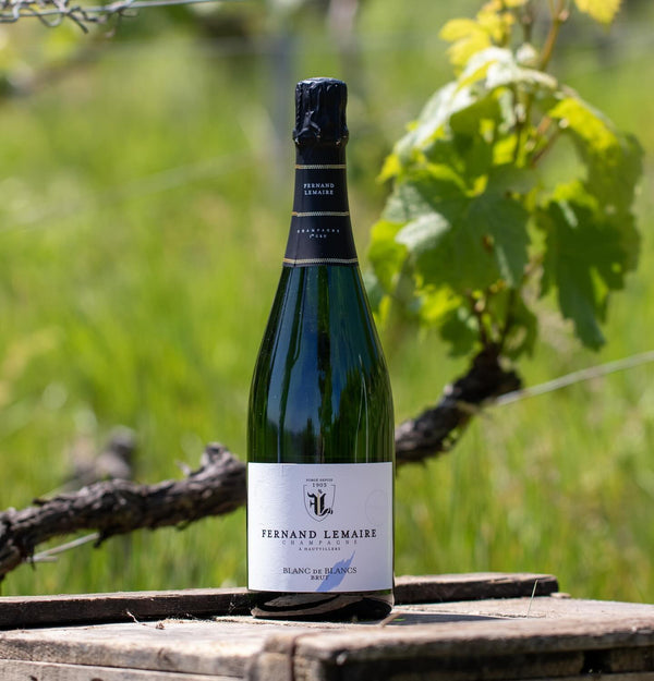 Champagne Fernand Lemaire - Blanc de Blanc 1er Cru - Effervescent Blanc - Nv - 0,75