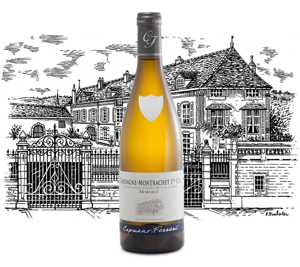 Domaine Capuano Ferreri - Chassagne Montrachet Premier Cru Morgeot - Blanc - 2023 - 0,75